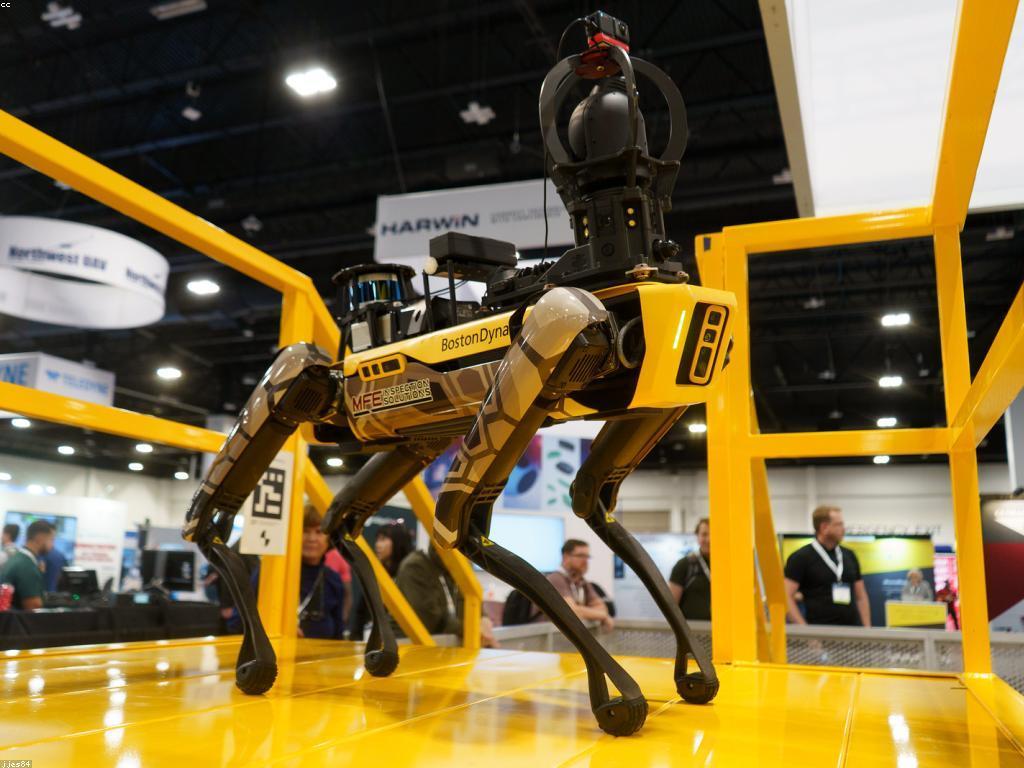 គន្លឹះសម្រាប់អ្នកថ្មី: ការកសាងជំនាញដើម្បីជោគជ័យ