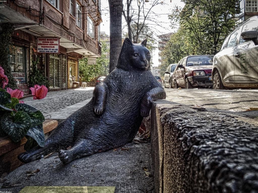 គ្រោះថ្នាក់និងនិន្នាការថ្មីៗក្នុងព័ត៌មានផ្សេងៗ