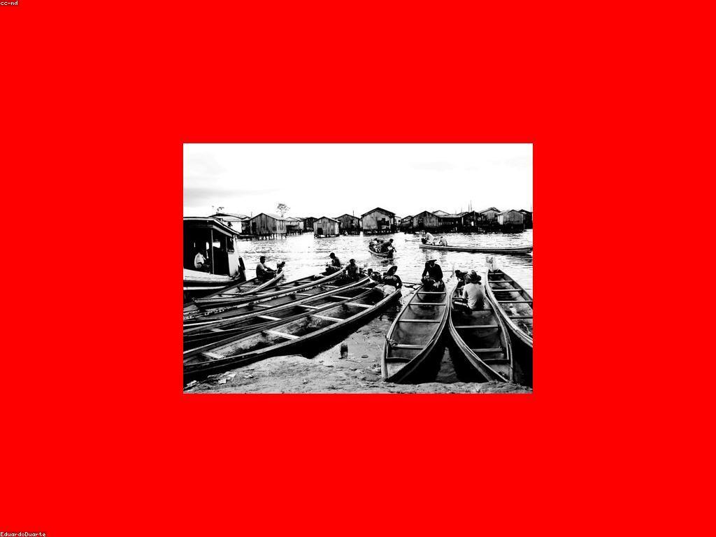 គន្លឹះសម្រាប់អ្នកថ្មីក្នុងការបង្កើតហេតុផលអំពីការជួញដូរ