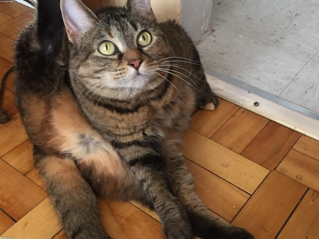 ព័ត៌មានផ្សេងៗ: ព័ត៌មានថ្មីៗ និងការពិភាក្សាអំពីប្រធានបទសំខាន់ៗ